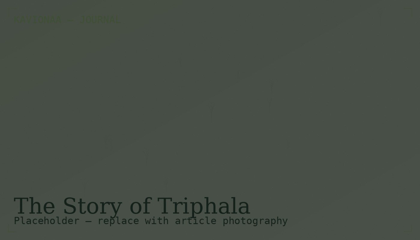The Story Behind Triphala: A Three-Fruit Tradition